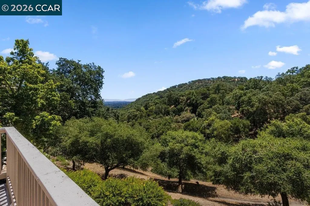 3024 Grey Eagle Drive Walnut Creek CA 94595