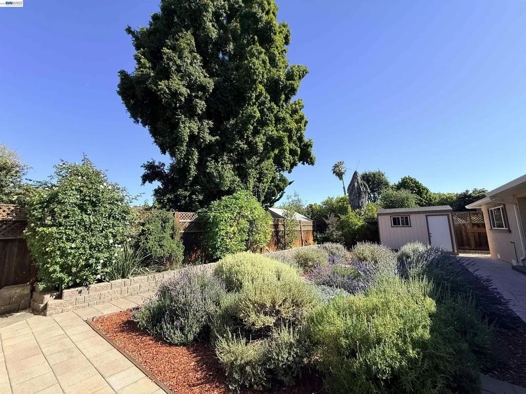 4414 Grover Drive Fremont CA 94536