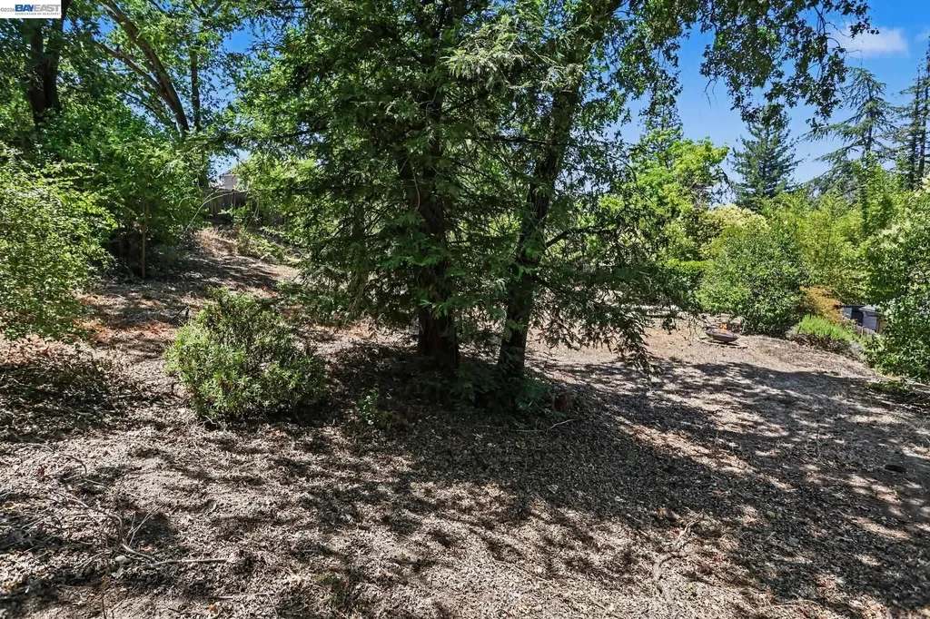 571 La Gonda Way Danville CA 94526