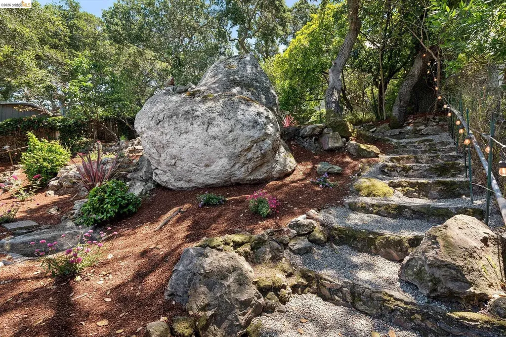 515 Vincente Avenue Berkeley CA 94707