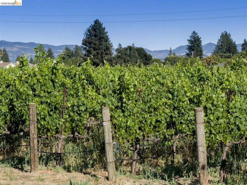 3248 Twin Oaks Drive Napa CA 94558