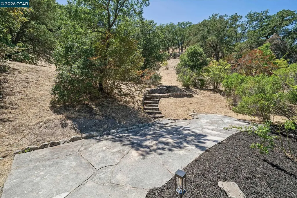 136 Lark Court Alamo CA 94507