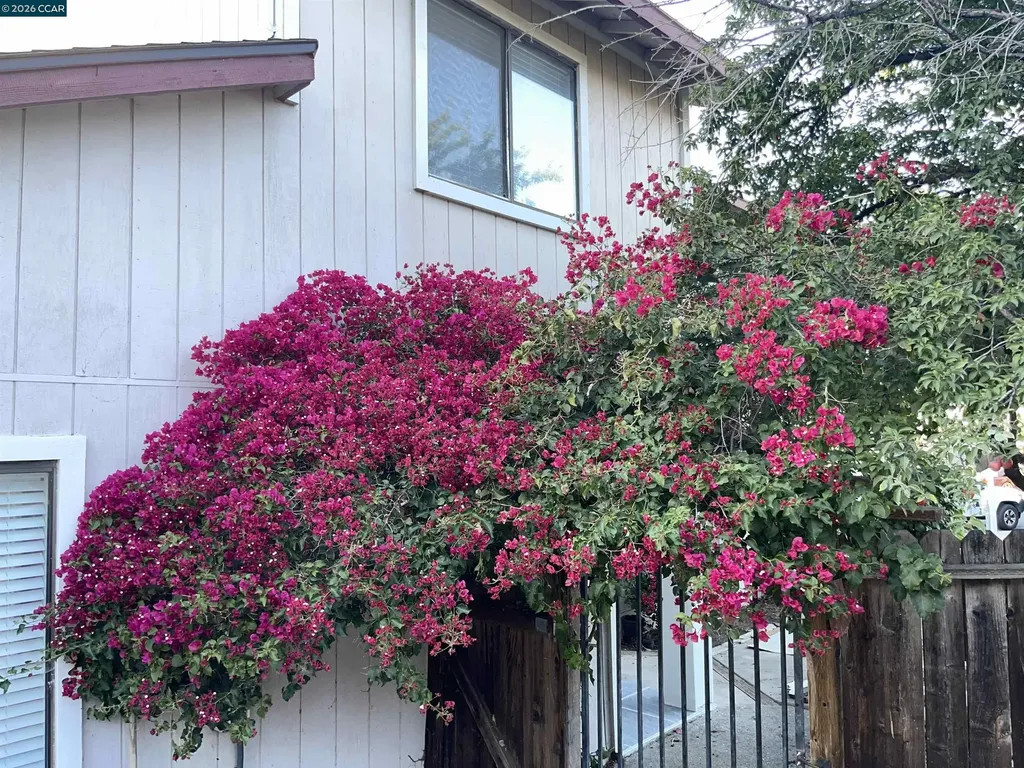 150 Pico Place Bay Point CA 94565