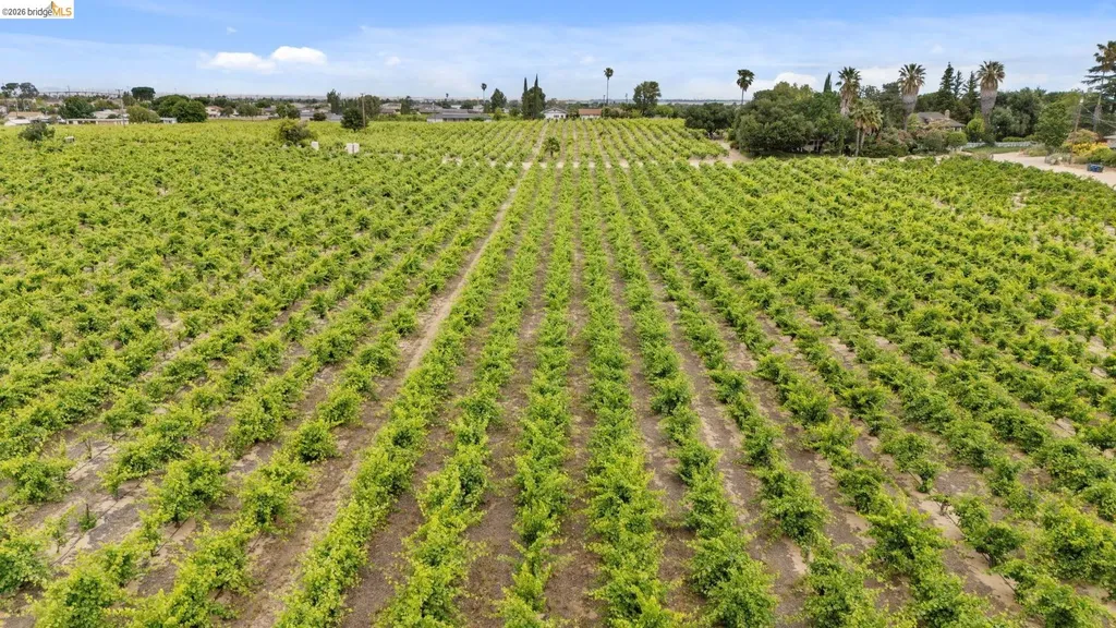 700 Brownstone Road Oakley CA 94561