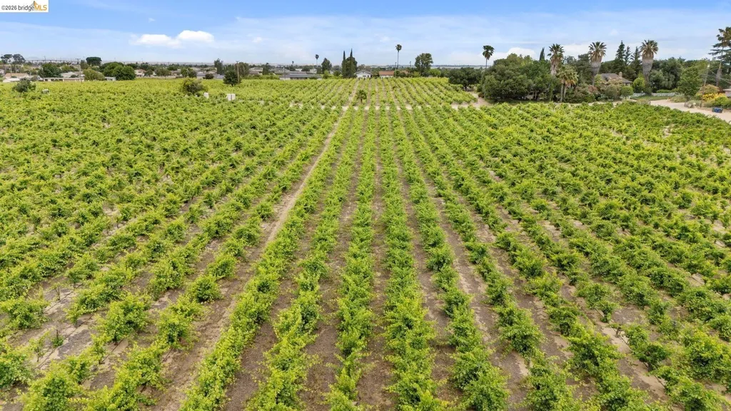 700 Brownstone Road Oakley CA 94561