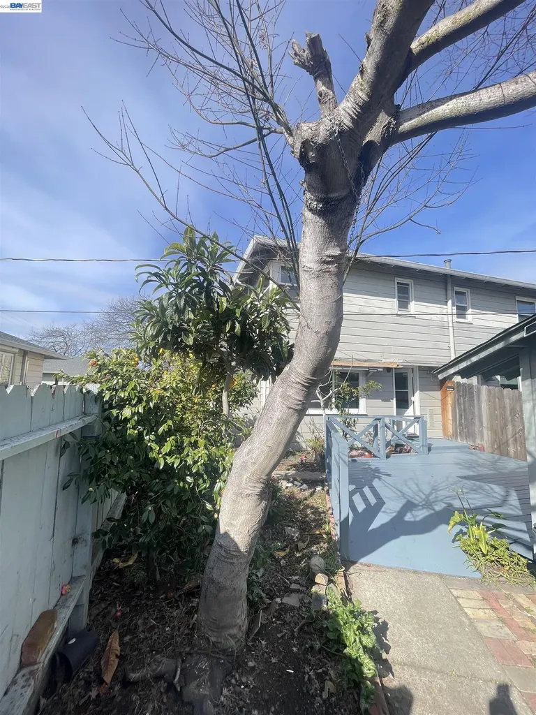 318 Cypress Street Alameda CA 94501