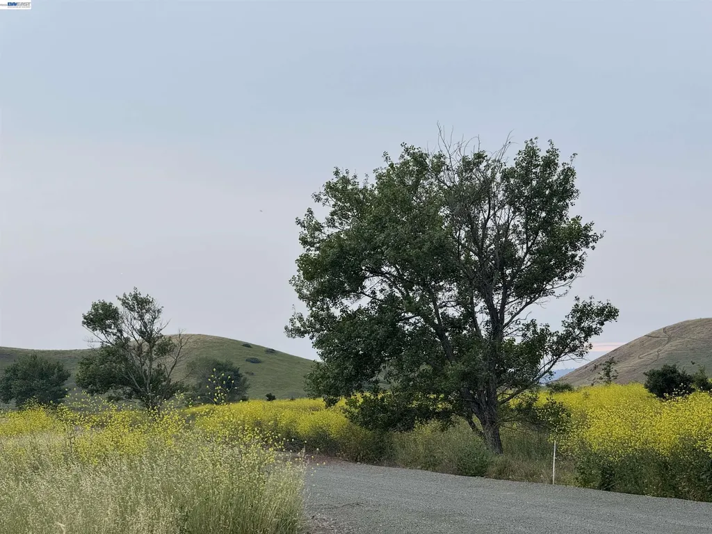 33513 Bardolph Circle Fremont CA 94555
