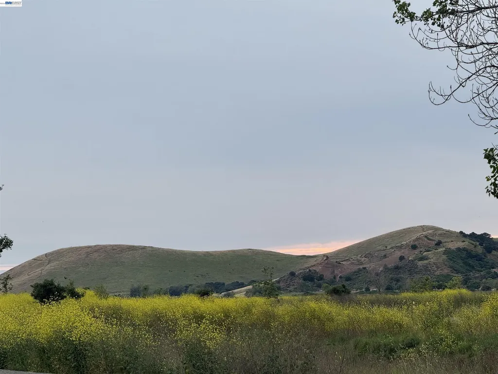 33513 Bardolph Circle Fremont CA 94555