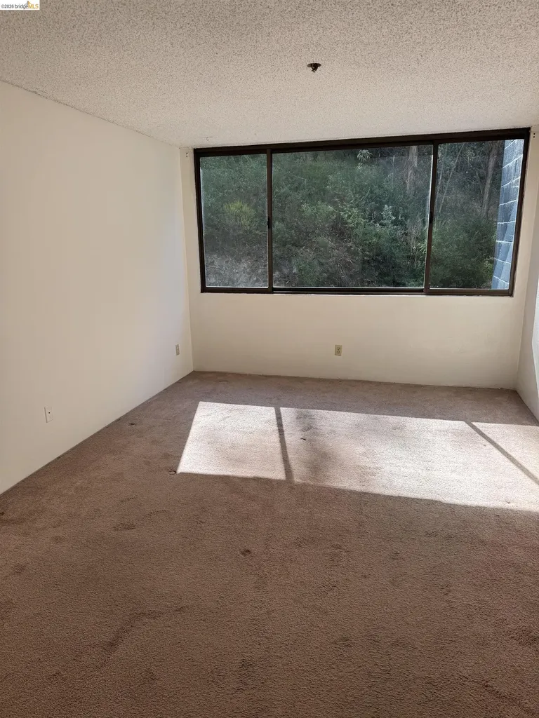 555 Pierce Street Albany CA 94706