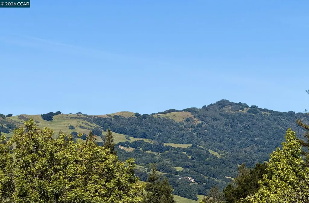 608 Serramonte Court Danville CA 94526