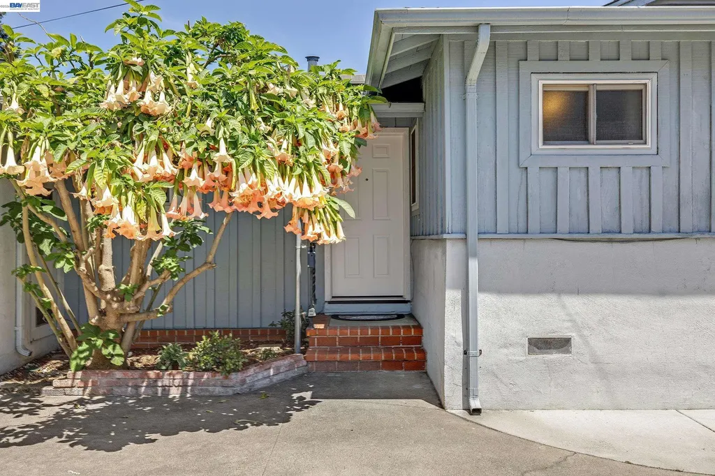 27029 Jennings Way Hayward CA 94544