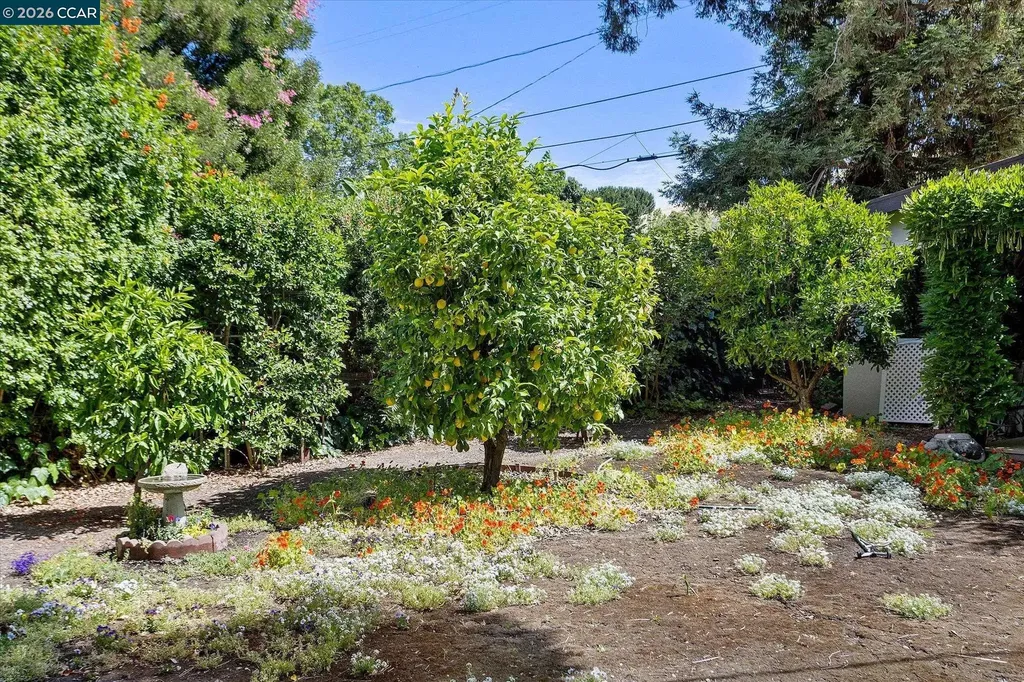 246 Wellington Avenue Concord CA 94520