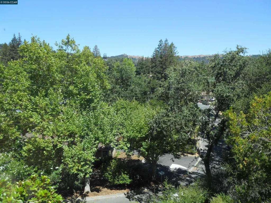 3692 Sundale Lafayette CA 94549