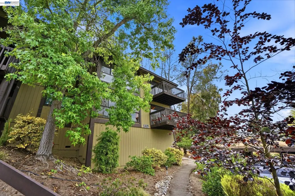 2101 Vanderslice Court Walnut Creek CA 94596