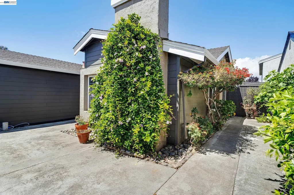 39052 Levi Street Newark CA 94560