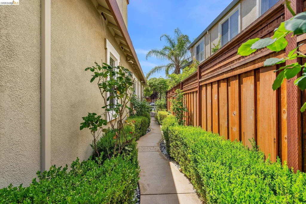 2611 Torrey Pines Drive Brentwood CA 94513