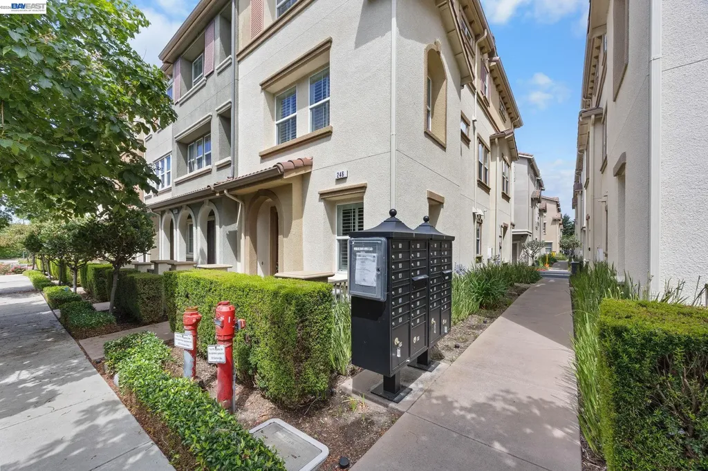 246 Sullivan Way Hayward CA 94541