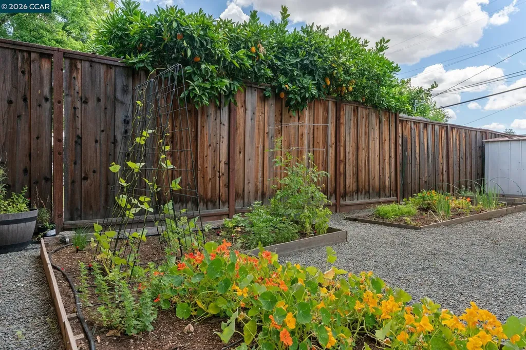 962 Oasis Drive Concord CA 94518