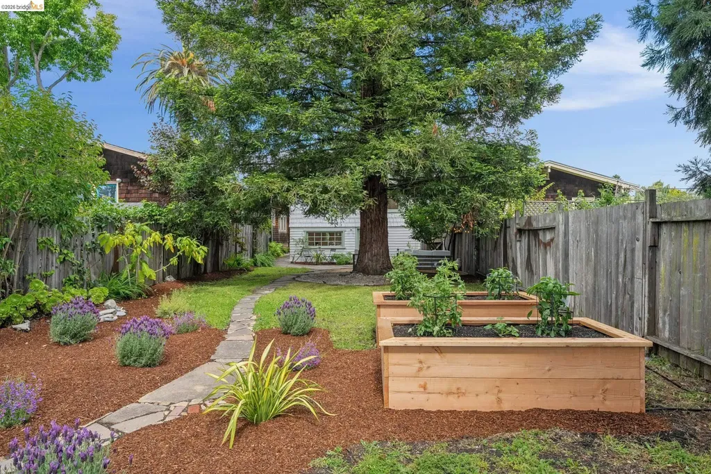 2220 Acton Street Berkeley CA 94702