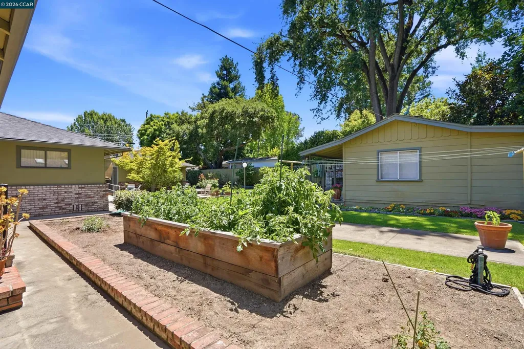 306 Prospect Avenue Danville CA 94526