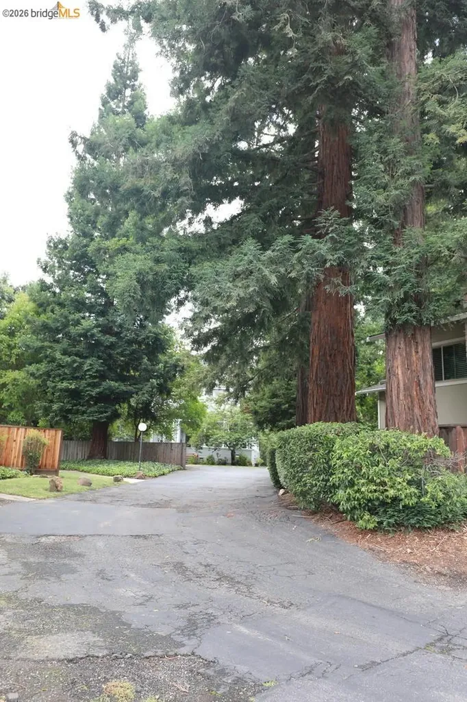 1055 San Ramon Valley Boulevard Danville CA 94526