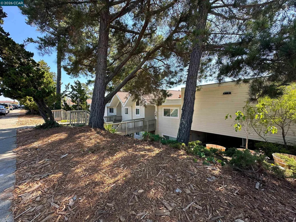 1984 Ascot Drive Moraga CA 94556