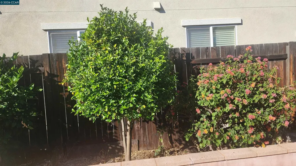 2104 Truman Lane Oakley CA 94561