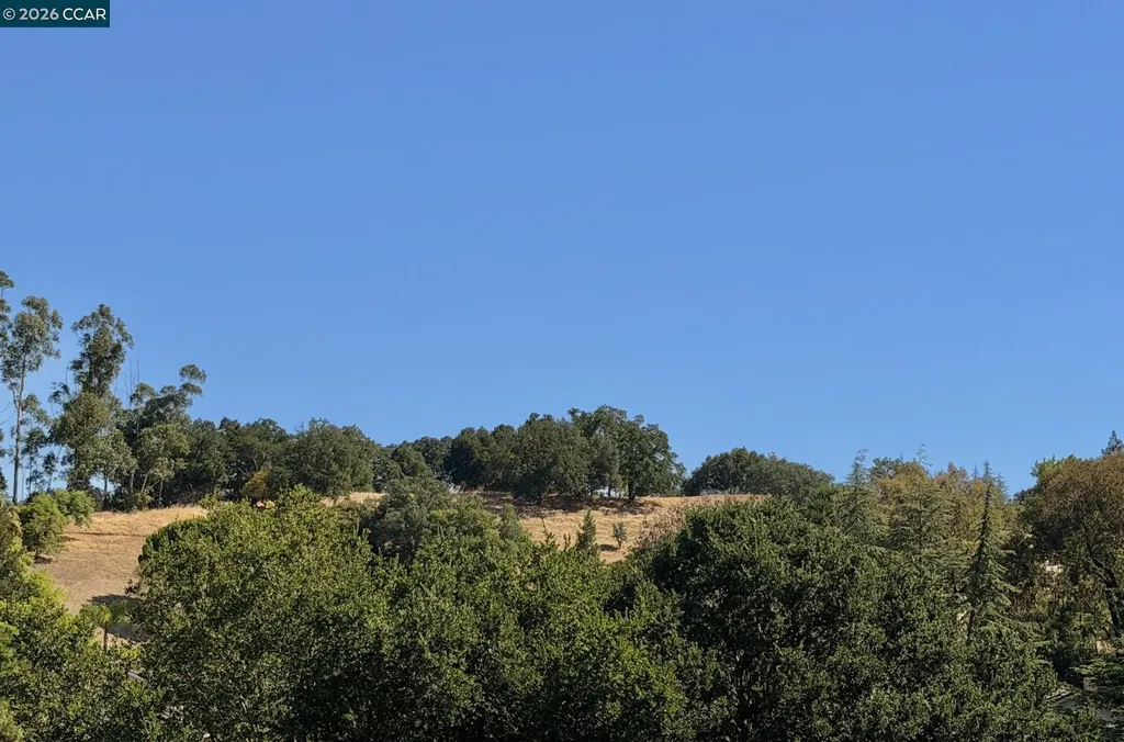 151 Blue Canyon Way Martinez CA 94553