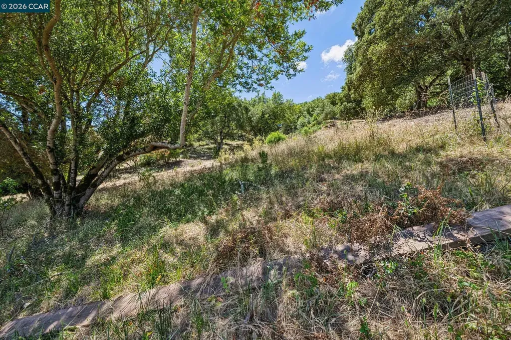 486 Butterfield Place Moraga CA 94556