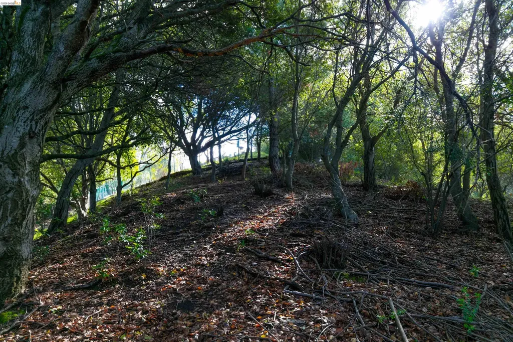 20 Lucille Way Orinda CA 94563