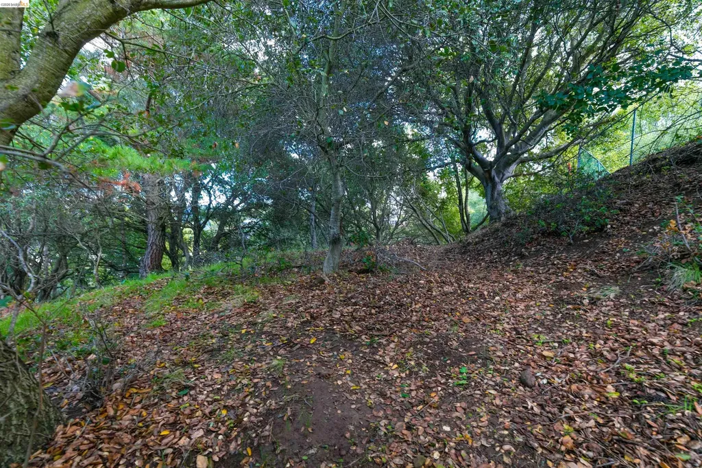 20 Lucille Way Orinda CA 94563