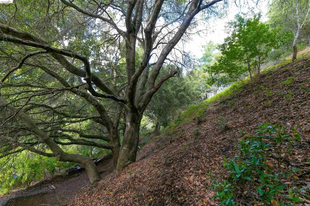 20 Lucille Way Orinda CA 94563