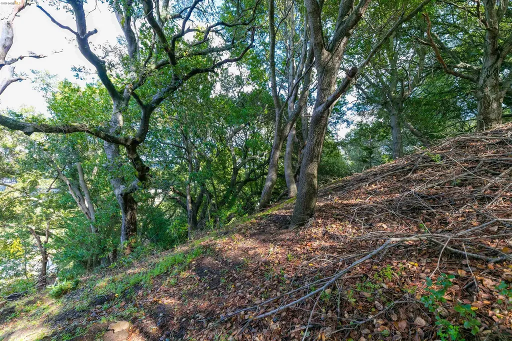 20 Lucille Way Orinda CA 94563