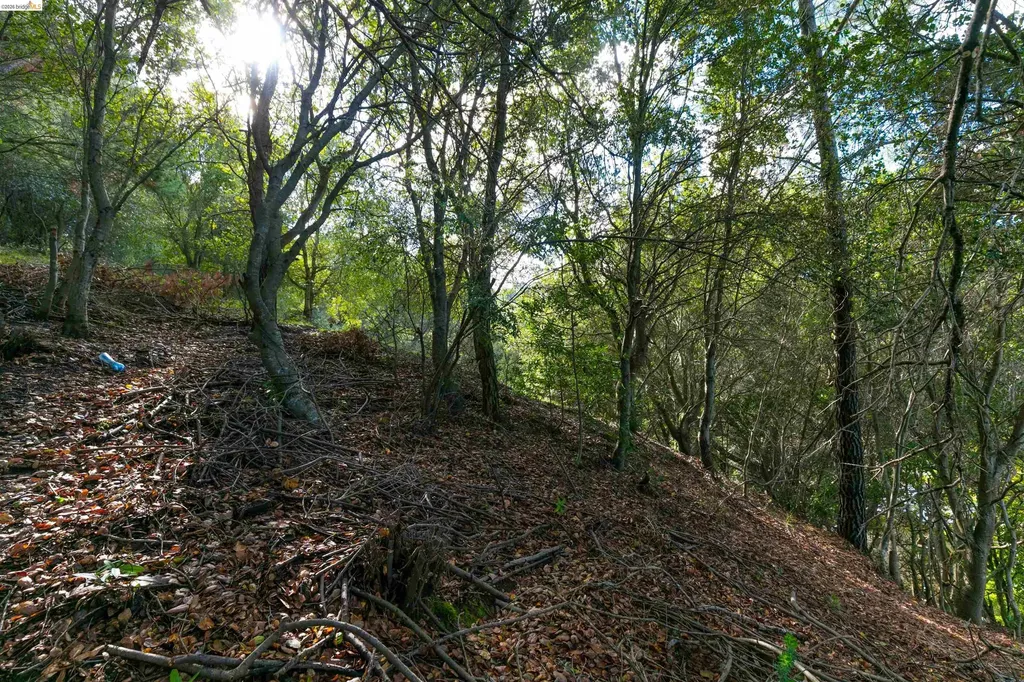 20 Lucille Way Orinda CA 94563