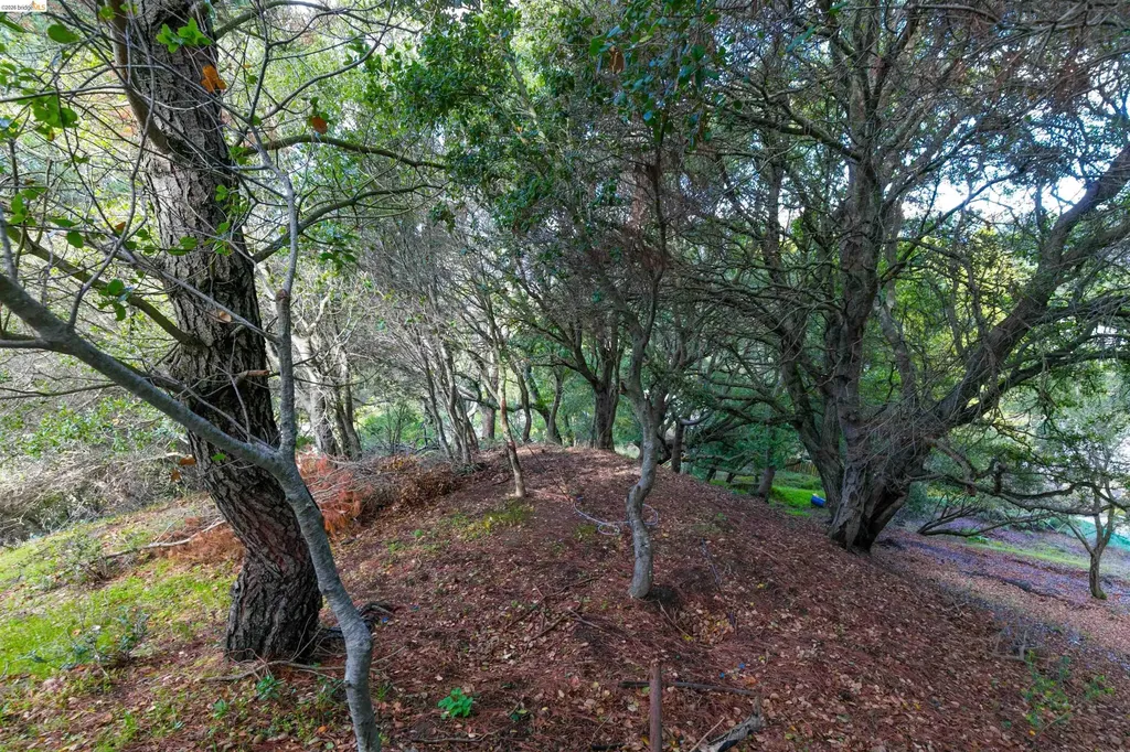 20 Lucille Way Orinda CA 94563