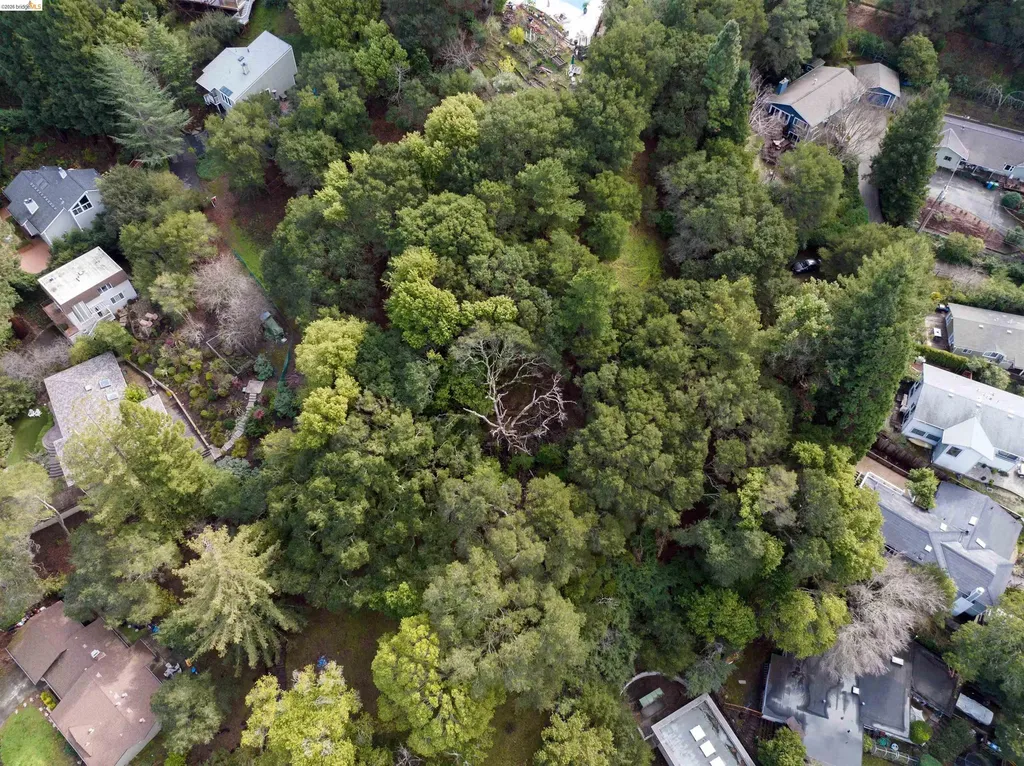 20 Lucille Way Orinda CA 94563