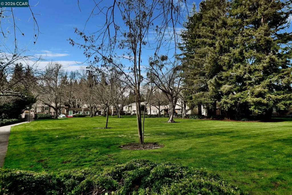 476 Sycamore Circle Danville CA 94526
