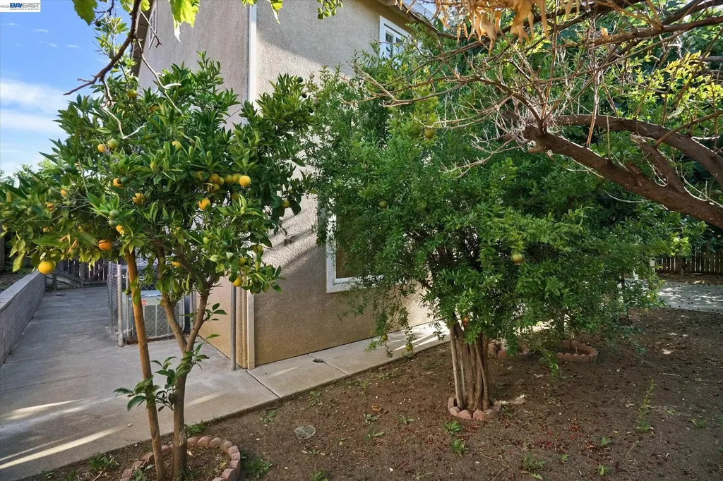 1536 Jensen Drive Pittsburg CA 94565
