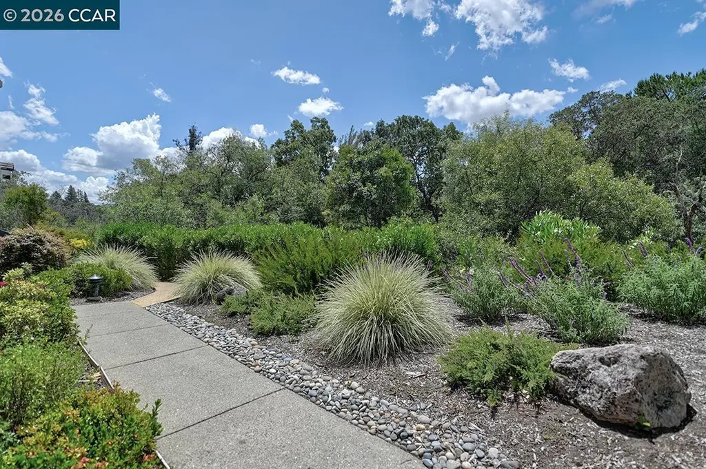 1726 Comstock Drive Walnut Creek CA 94595