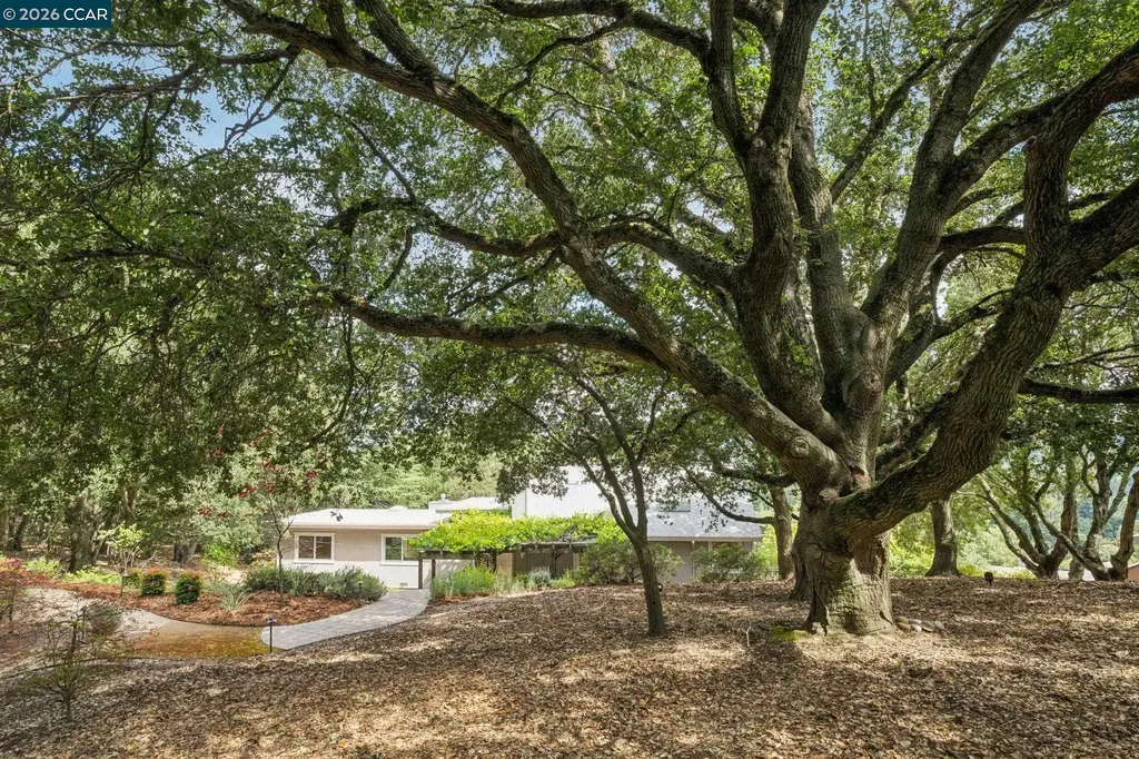 41 Kellie Ann Court Orinda CA 94563
