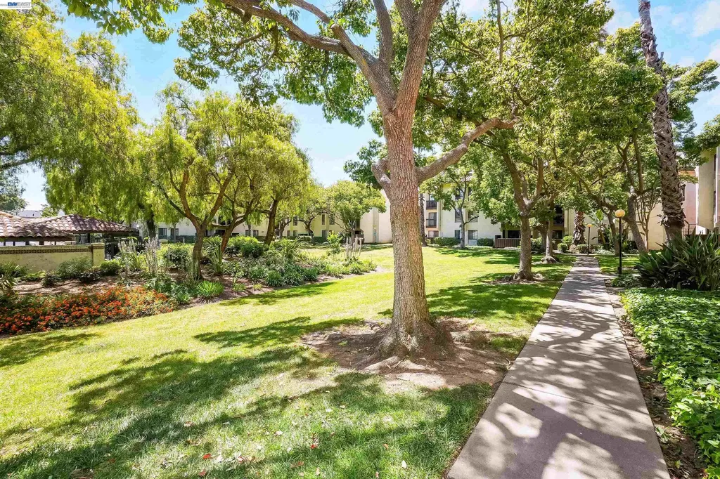 39931 Cedar Boulevard Newark CA 94560