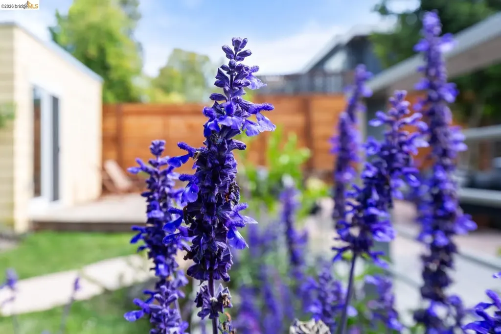 1021 Colusa Avenue Berkeley CA 94707