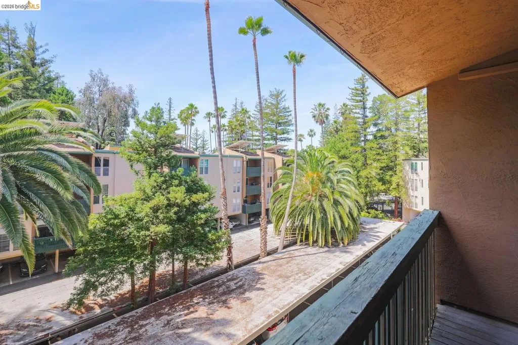 175 Sierra Drive Walnut Creek CA 94596