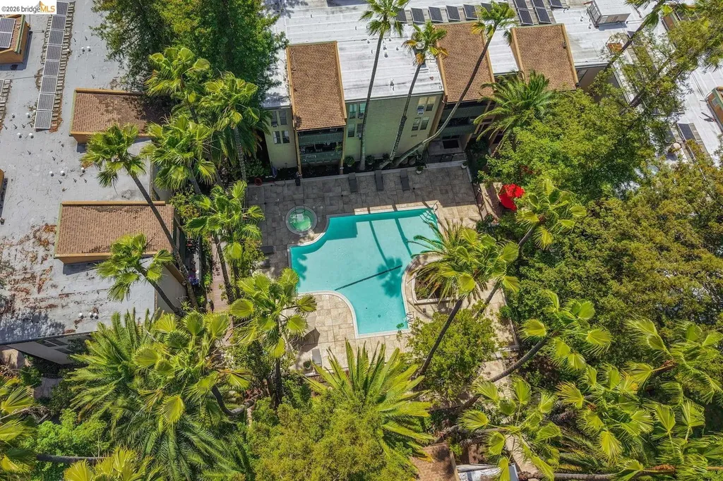 175 Sierra Drive Walnut Creek CA 94596