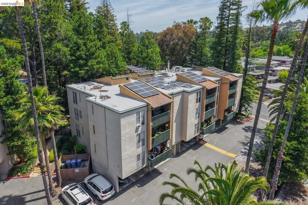 175 Sierra Drive Walnut Creek CA 94596