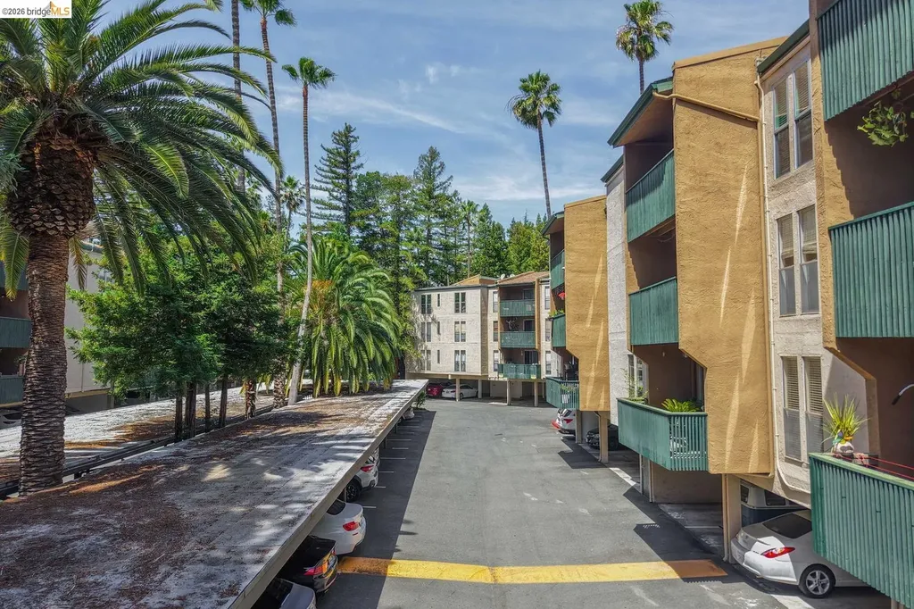 175 Sierra Drive Walnut Creek CA 94596