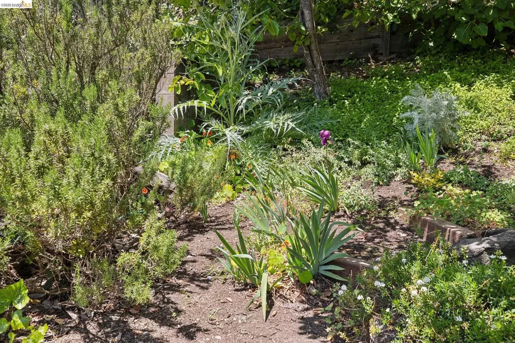 2541 Hilgard Avenue Berkeley CA 94709
