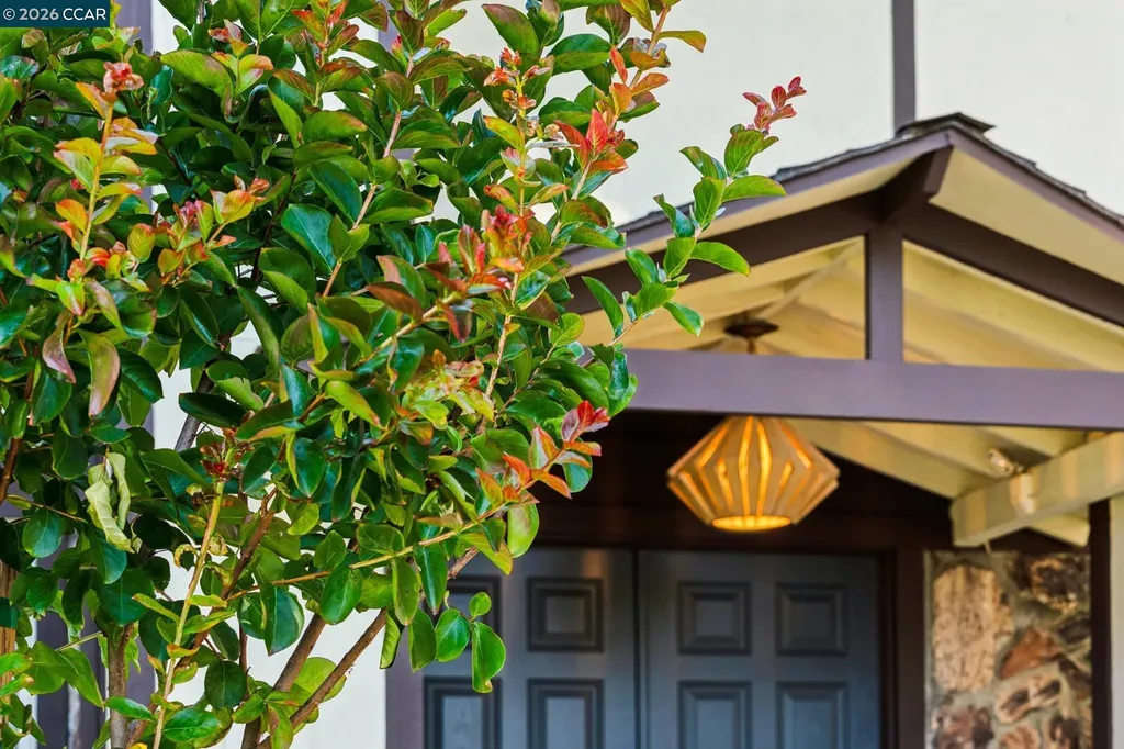 410 Dunblane Drive Walnut Creek CA 94598