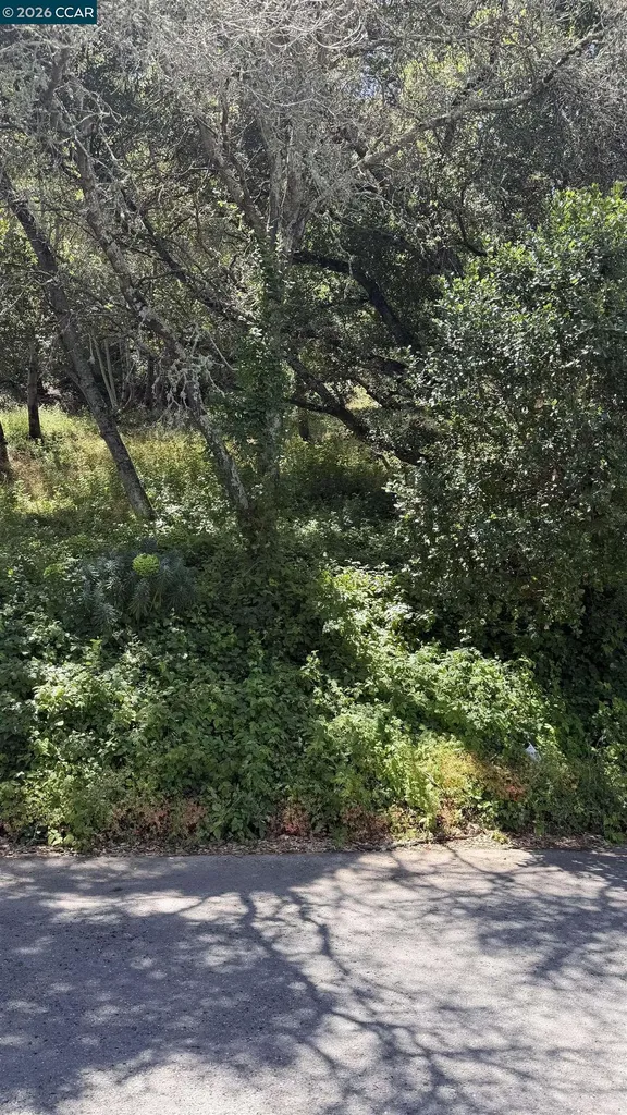 46 Oak Road Orinda CA 94563