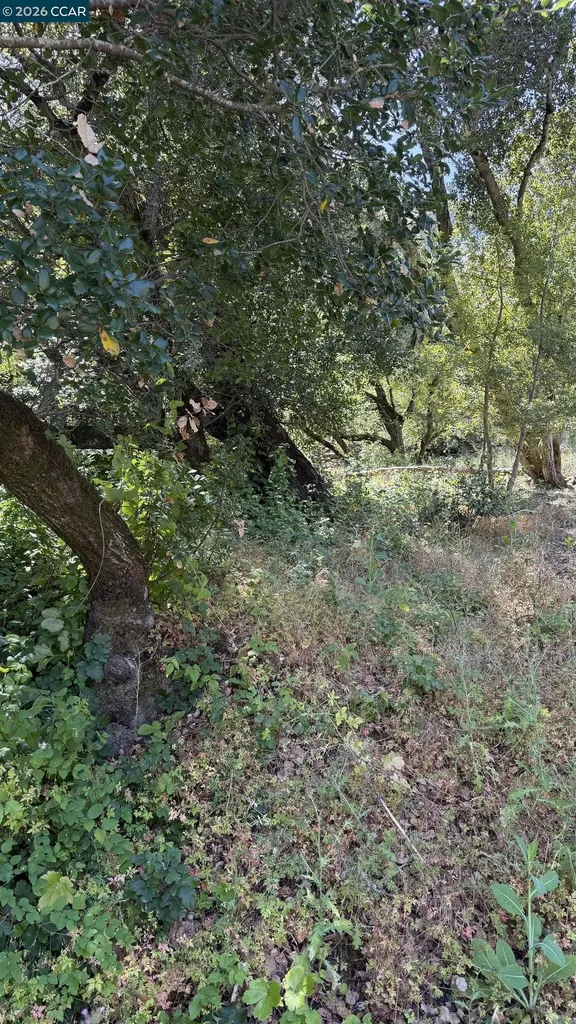 46 Oak Road Orinda CA 94563